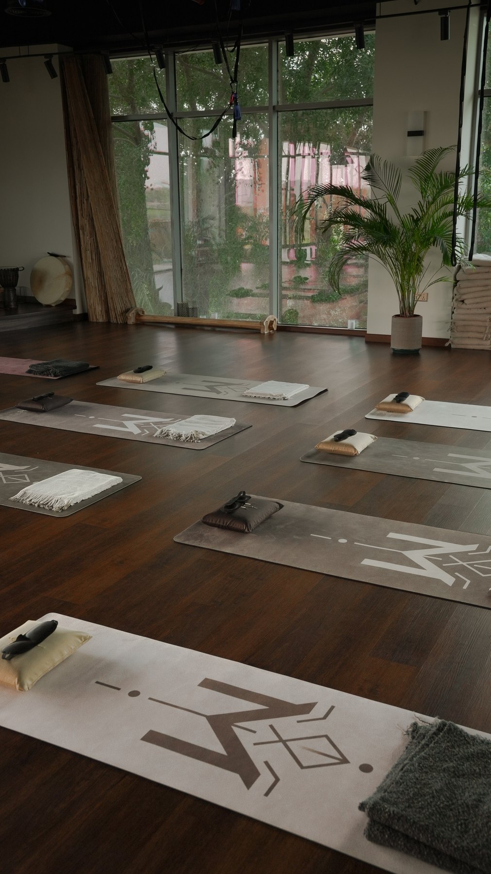 Group Hatha Yoga preview
